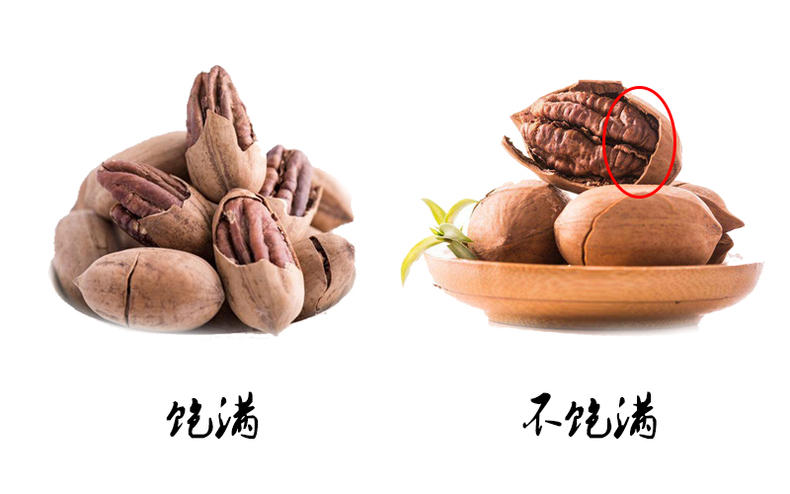 香香脆脆碧根果,少不了的小零食(图7) 香香脆脆碧根果,少不了的小零食(图7)