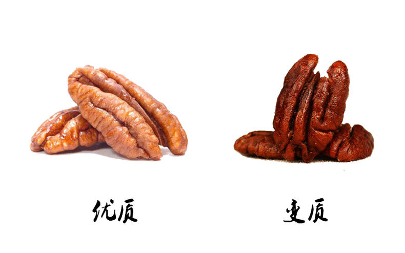 香香脆脆碧根果,少不了的小零食(图8) 香香脆脆碧根果,少不了的小零食(图8)