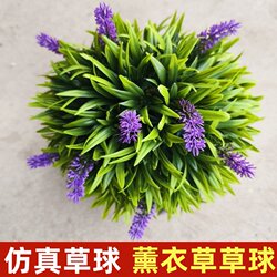 Simulated Plant Lavender Ball Green Plant Store Wall Decoration Artificial Plastic Shopping Mall Window Eucalyptus Grass Ball