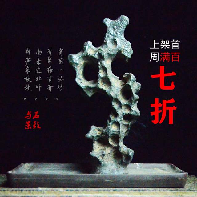 New home gardening bonsai simulation Wu Dingshi Taihu stone calamus rice bamboo Phoenix tail bamboo bonsai with stone accessories