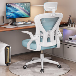 Computer Chair, Waist-Protecting Ergonomic Chair, Backrest Chair, Comfortable for Long Periods of Sitting, Office Chair, Desk Study Chair, Gaming Chair