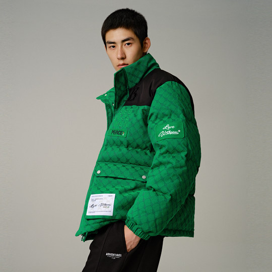 Peacebird Men's Presbyopia Down Jacket - Winter Trendy Work Wear Contrast  Color Bread Jacket