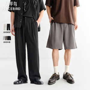 PEACEBIRD Men's Textured Casual Pants 26 Summer Versatile Fashion Commuting Embroidered Medium Pants