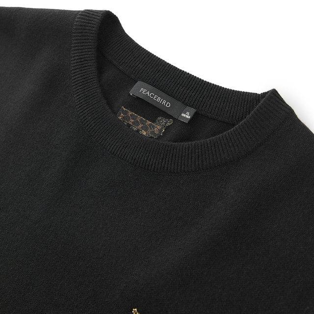 Peacebird men's new winter black sweater round neck sweater for men