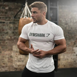 Heavyweight 260g New Letter Print T-Shirt, Same Style as Jin Fu, Apollo Sports ins Fitness Short Sleeve