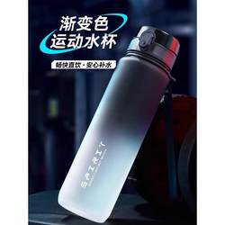 Water Cup, Straw Cup, High Temperature Resistant Fitness Water Cup for Boys and Girls, Large Capacity Direct Drinking Cup, Gradient Portable Water Kettle