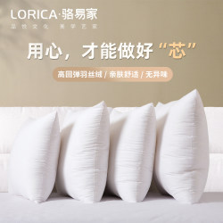 Luo Yijia Living Room Sofa Pillow Core 45X50 Office Lumbar Pillow Backrest Cushion Bed Bay Window Large Backrest