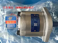 Bơm dầu bánh răng thủy lực Hợp Phì Changyuan CBW-F310-ALP CBW-F306-ALP Bơm bánh răng thủy lực