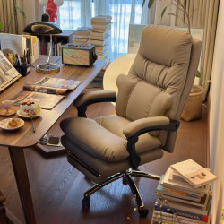Computer Chair with Massage Function for Home Office, Study Desk Chair, Comfortable for Long Sitting, Executive Chair, Leisure Reclining Chair with Backrest