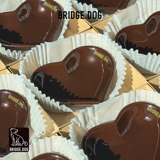 
Korea imported BRIDGE.DOG pet bowl BD bowl cat bowl dog bowl love plate dinner plate heart bowl