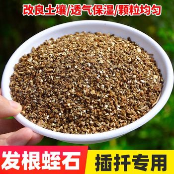 Vermiculite perlite particles root cutting seedling cultivation soil matrix succulent hatching rose soil nutrient soil