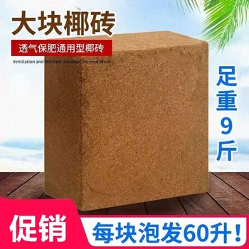 Desalted Coconut Brick Nutritional Soil Coconut Bran Vegetables