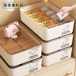 Underwear Storage Box, Home Use Underwear and Socks Compartment Organizer, Wardrobe Storage for Intimate Clothing, Three-In-One