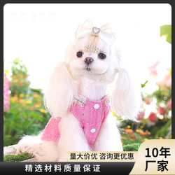 Ambernie Pet Clothing Dog Clothes Yorkshire Maltese Small Dog Xiaoxiangfeng Skirt Factory