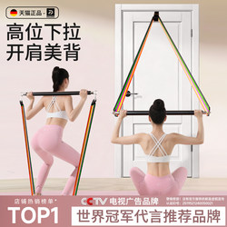Resistance Band for Home Fitness, Stretching Elastic Band for Women, Shoulder Opening and Back Training Tool, Door-Mounted High Pull-Down Trainer