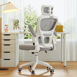 Computer Chair for Home Use, Comfortable for Long Sitting, Ergonomic Chair for Office, Dormitory Study, Gaming Chair with Backrest, Office Chair