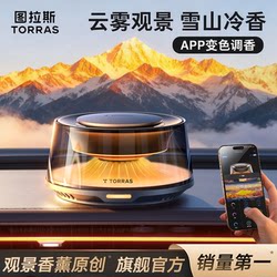 TORRAS Landscape Car Aromatherapy Perfume Decoration Ornaments, Fragrance, Special for Men and Women, High-End
