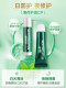 Mentholatum Lip Balm Mint for Women, Moisturizing, Hydrating, Exfoliating, Lip Care, Male Student Version, Colorless