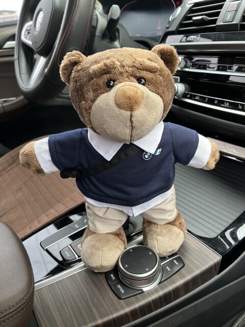 Bear doll suitable for BMW Bava racing bear backpack new energy ...
