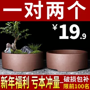 round mouth large potted plant Latest Best Selling Praise