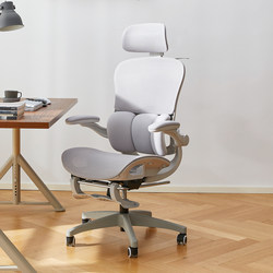 Eight-Nine-Room U5 Ergonomic Chair, Office Computer Chair, Comfortable for Long Sitting, Executive Chair, Home Gaming Chair with Backrest