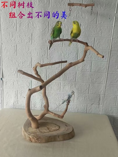 無垢材の鳥スタンド - パラロットのための自然な枝の止まり木