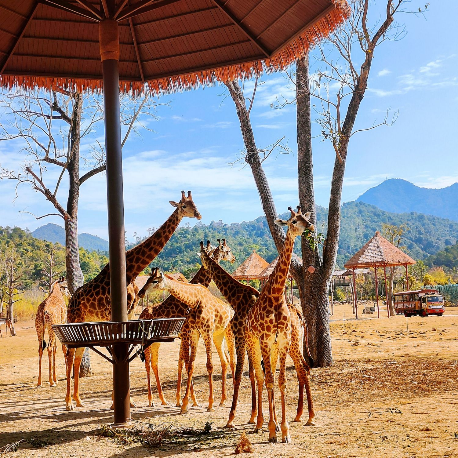 清远长隆度假假区 长隆长颈鹿城堡酒店2天1晚自由行+双人无限次森林王国门票