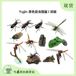 日本图鉴昆虫- Top 100件日本图鉴昆虫- 2024年6月更新- Taobao