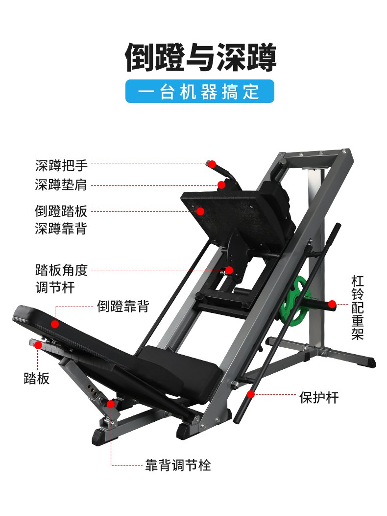 筋トレイヤー s-l400.jpg