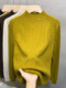 Women's bottom shirt with half turtleneck sweater 2025 Spring and Autumn New pullover Korean style sweater with knitted sweater and long-sleeved top