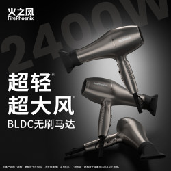 Fire Phoenix Hair Dryer 5610H High-Power Hair Salon Professional Hair Dryer for Barbers and Hairstylists with Strong Wind Power
