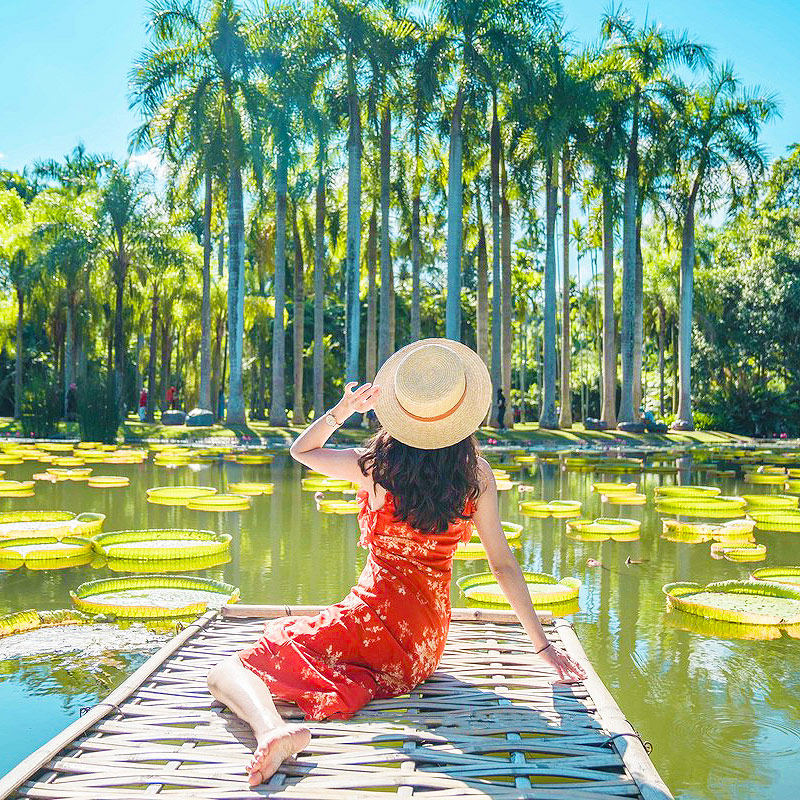 【四钻酒店】云南西双版纳旅游亲子野象谷森林公园5天4晚跟团游