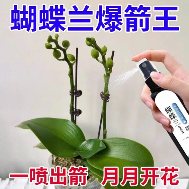 Phalaenopsis Arrow King Plant Nutritional Solution Flowering Sword Blossom Prevention of Yellow Leaf Orchid Special Fertilizer General Organic Fertilizer