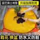 Gardening floor cloth mat waterproof thickening soil replacement pad planting succulent tool mixing soil and repotting soil turning operation pad