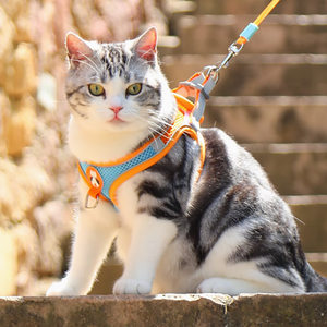 Cat traction rope to break free of special cat ropes small dog chest straps, rope, cat ropes, pets, dog ropes walking dogs
