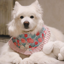 QIQIPET pet bib dual-purpose fake collar
