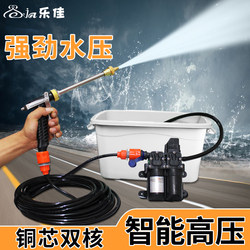 Dual-Pump Portable Car Wash Water Pump 12V High-Pressure Household High-Power Car Wash Machine Car Wash Tool Car Wash Water