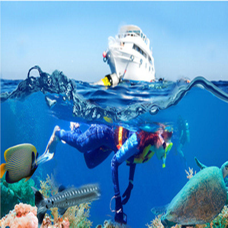 三亚分界洲岛纯玩一日游含门票往返接送导游服务