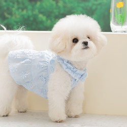Puppy Clothes 2026 New Summer Teddy Bichon Yorkie Small Dog Pet Thin Spring Dress Princess Skirt