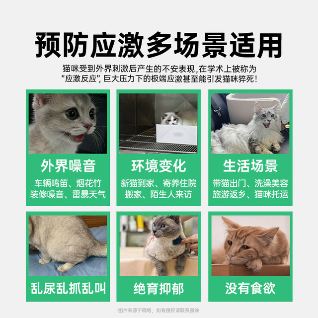 gabapentin cream for cats