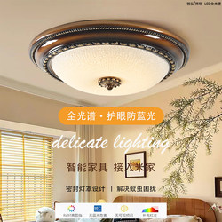 Full Spectrum Led Smart Ceiling Light Bedroom Light Living Room Light Room Entrance Balcony Hotel B&B Decorative Lighting Fixtures