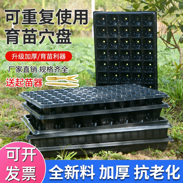 Thickened Darbon seedlings Cultivation Box Point Poor Poor Plant Nursery Box Cultivation Plastic Nutrition Basin Cutting