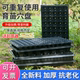 Thickened Darbon seedlings Cultivation Box Point Poor Poor Plant Nursery Box Cultivation Plastic Nutrition Basin Cutting