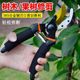 Sharp pruning scissors, labor-saving garden flower shears, multi-functional fruit tree pruning special thick branch shears gardening tools