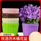 Extra large wooden barrel plastic round plastic imitation ceramic flower and vegetable lotus small European flower pot with large delivery tray