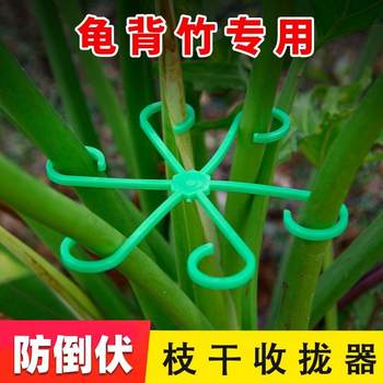 Monstera support pole flower support frame branches to prevent lodging