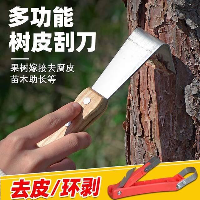 
Special knife for scraping bark, fruit tree scraper, multifunctional bark scraper, rot disease scraper, tree scratching tool