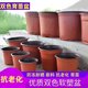 Two-color flower pot planting seedling cultivation pot nutrition pot plastic disposable thickened gardening green planting pot succulent pot cultivation