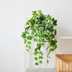 Rustic and Natural Artificial Green Plant Hanging Plant Potted Plant Study Balcony Office Decoration Hanging Orchid Art484