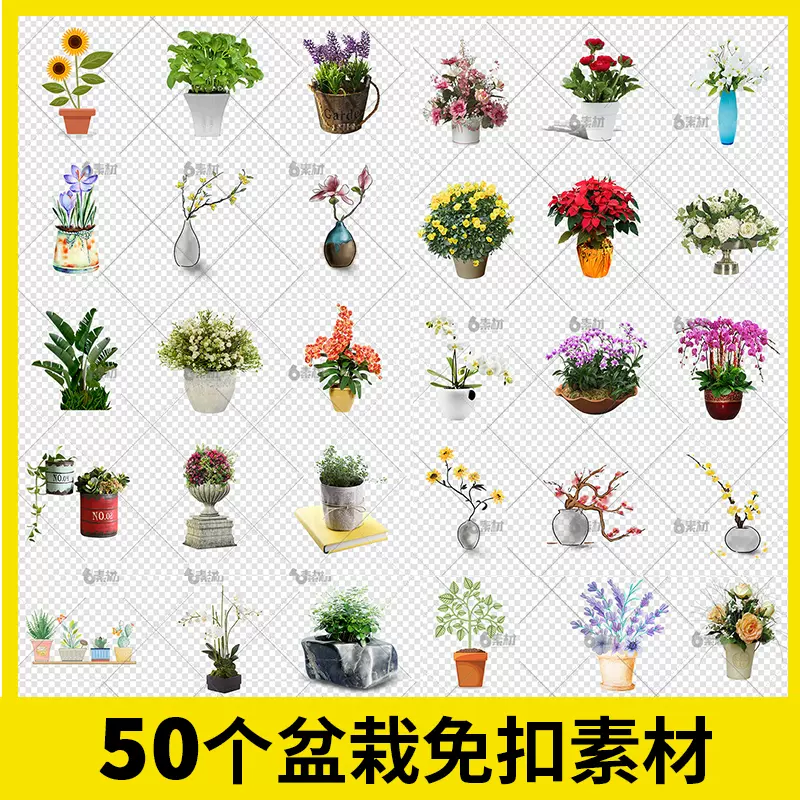 鮮花盆栽手繪乾燥花玫瑰植物花盆中國風綠植室內png免